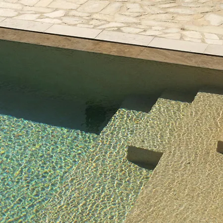 Panda Art * Ано Мера