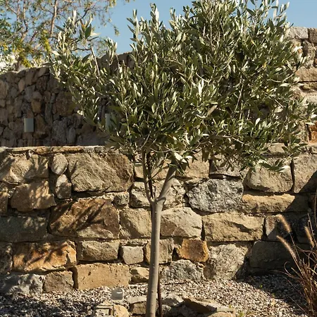 Апартаменты Panda Art