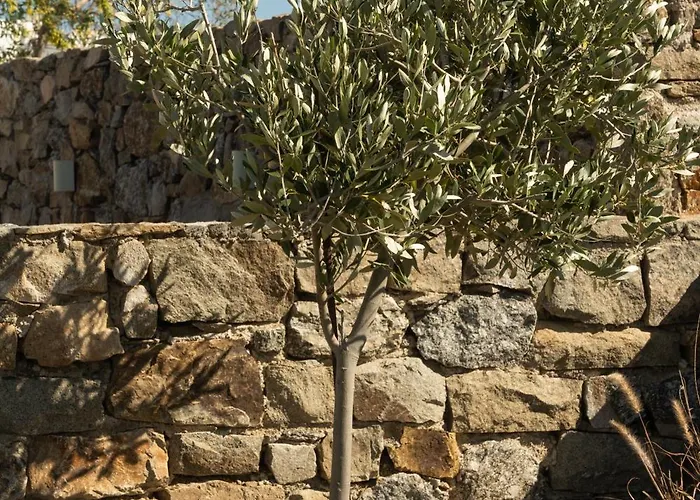 Διαμέρισμα Panda Art