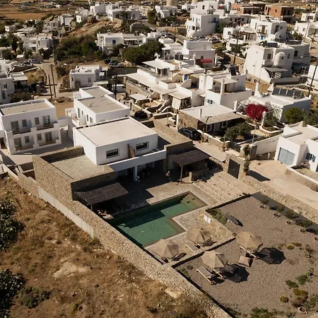 Panda Art 阿诺梅拉